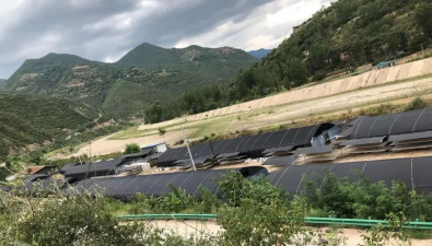 甘肅康縣：太石鄉9月下旬將采摘頭茬掛袋木耳