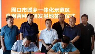 河南周口：食用菌產業項目落戶示范區，正式簽約
