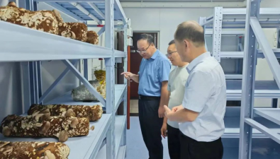甘肅武威：市農科院食用菌實驗室正式建成使用