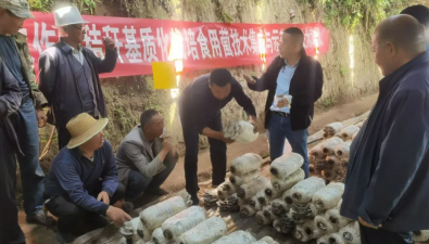 青海興海縣：溫棚食用菌食用技術培訓開班