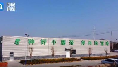 村里來了位老科技專家，香菇基地實現年產香菇1000噸