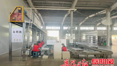 湖南岳陽：一食用菌工廠生產線投入試運營，年收7億元