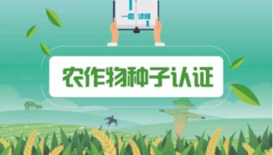種子認證制度來啦！一圖讀懂→