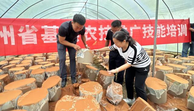 铜仁职院：科技惠农，解决农户食用菌种植技术难题