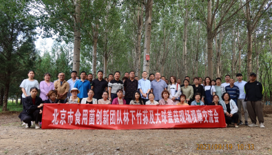 北京市食用菌创新团队组织林下食用菌现场观摩交流会