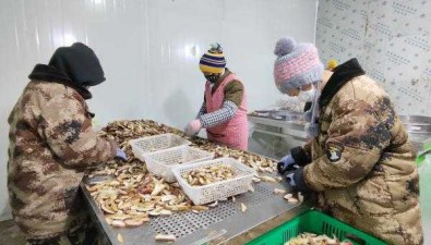 云南姚安：電力賦能，野生菌冷庫(kù)“凍”力十足