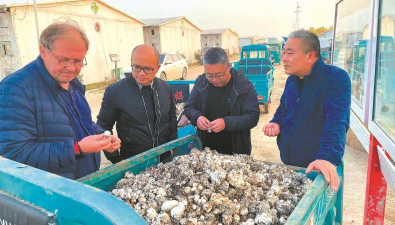 安徽靈璧縣：傳統小鎮有了“國際范兒”