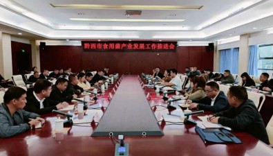 贵州黔西市：2023年食用菌产业工作再部署