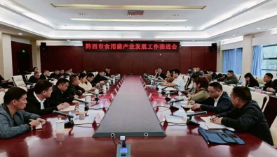 貴州黔西市：2023年食用菌產業工作再部署