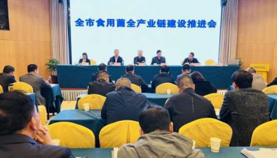 陜西漢中：召開食用菌全產業鏈建設推進會