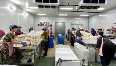 南京闽绣菌业：开展绣球菌规模化栽培、销售