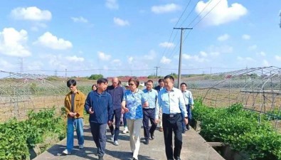 譚琦研究員一行調研上海崇明區食用菌產業情況