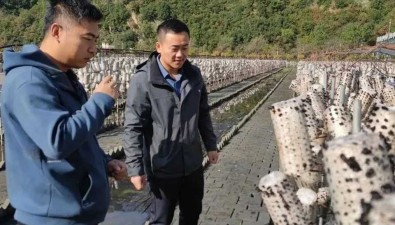 延军农场有限公司赴陕西柞水等地学习考察食用菌产业