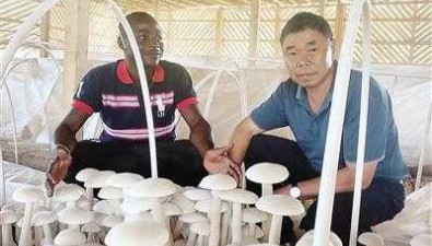 陳克華：四度援外播撒中國“幸福草”
