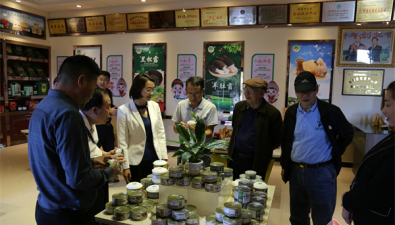 云南社科專家調研南華縣食用菌產業發展