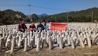 安徽祁門縣：食用菌質(zhì)量安全監(jiān)管與技術(shù)指導(dǎo)兩手抓