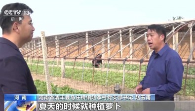 食用菌鼓起农民“钱袋子”，产业发展有新“蘑”力