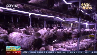 蘑菇還能被種在這里？