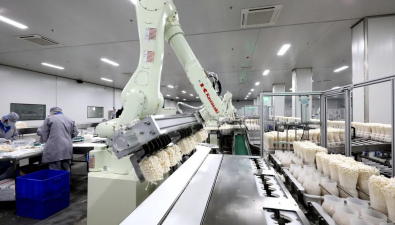 山東鄒城：引進Alot智能物聯網系統 食用菌提質又增產