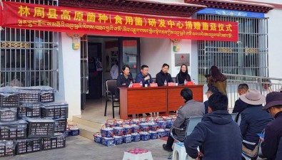 林周县高原菌种（食用菌）研发中心为困难群众捐赠菌菇