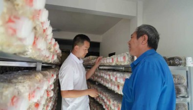 金?？萍迹喝套o航，保障菇農效益