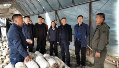 吉林遼源市：政協視察食用菌產業發展情況