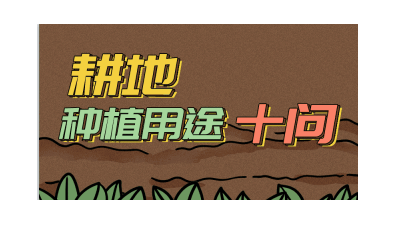 端穩(wěn)“中國(guó)人的飯碗”，必須保護(hù)好耕地