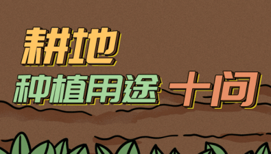 保護耕地，有哪些制度上的安排？