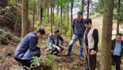 国家食用菌产业技术体系岗站专家到黔东南综合试验站交流指导