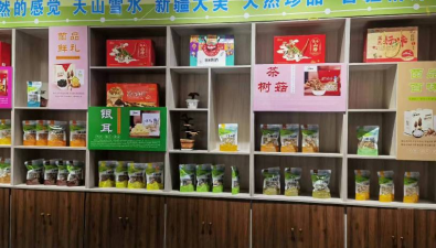 魯疆情農業：全產業鏈企業發展食用菌，生產總值1800萬