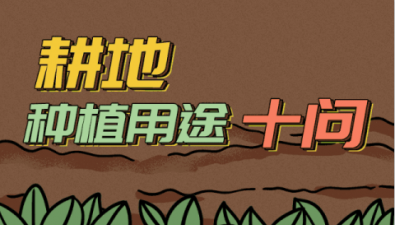耕地應該用在哪些方面？不能用在哪些方面？