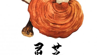 靈芝藥食同源的意義