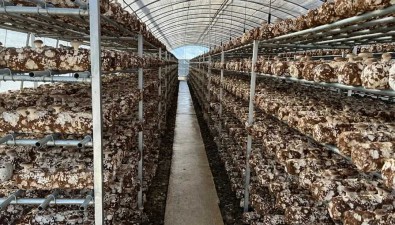 中源公司：“扶貧明星企業(yè)”帶動(dòng)食用菌產(chǎn)業(yè)發(fā)展