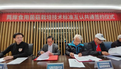 三項團標，兩岸菌菇技術(shù)標準互認共通，助力產(chǎn)業(yè)發(fā)展