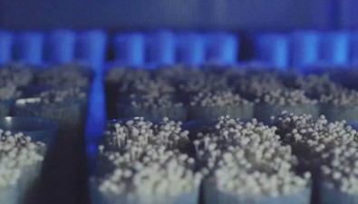 山東國家級農業標準化示范區達323個