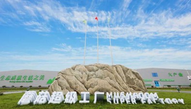 鄒城蘑菇：成山東農產品新的金字招牌