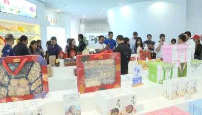產品+技術|福建古田食用菌沿著“一帶一路”走出去