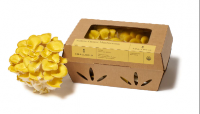 美國(guó)：Smallhold公司黃平菇、猴頭菇等食用菌上市忙