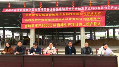 湖北谷城：年產2000萬棒菌棒生產項目投產