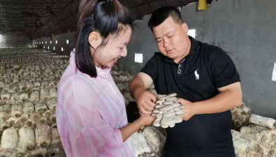 包時：“90后”誠信榜樣成“東北食用菌王”