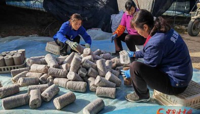 甘肃两当：绿色生态是发展食用菌产业的底色