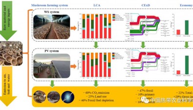 “农（食用菌）-光互补”绿色低碳模式效益研究取得新进展