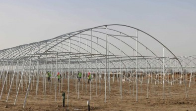 武威涼州區：清水鎮食用菌基地搶抓工期