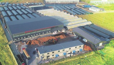 2024年山西臨縣食用菌將達到4000萬棒
