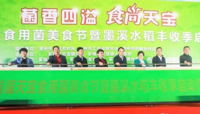 “天寶食用菌”品牌標識發布
