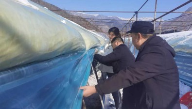 陜西藍田縣：農技員田間支招，食用菌安全越冬
