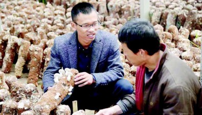 黃超：“蘑菇王子”帶領(lǐng)村民走上致富路