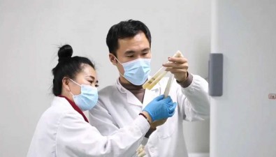 科技賦能，為行業發展做背書