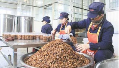 云南陸良縣：打造食用菌產(chǎn)業(yè)鏈