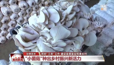 甘肃合水县：“小菌菇”种出乡村振兴新活力